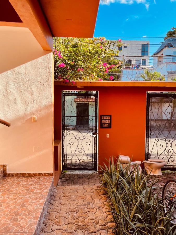 Anana Coliving Hotel Playa del Carmen Exterior foto