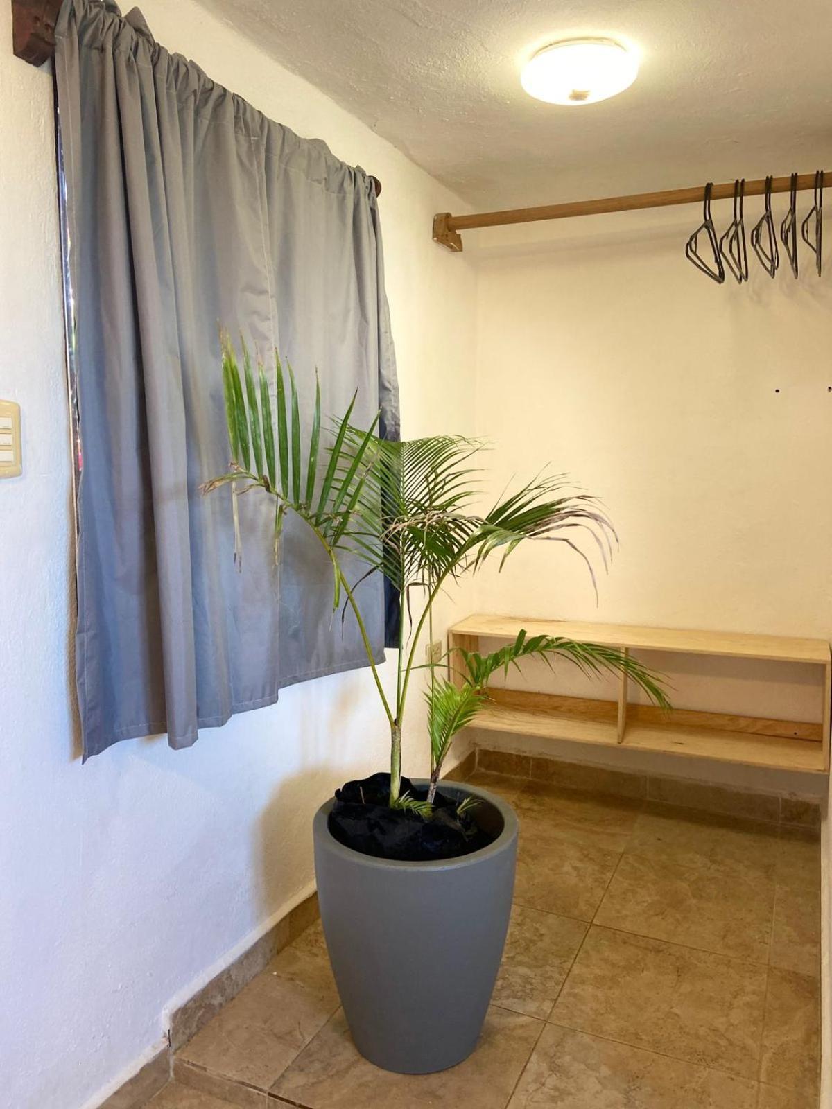 Anana Coliving Hotel Playa del Carmen Exterior foto