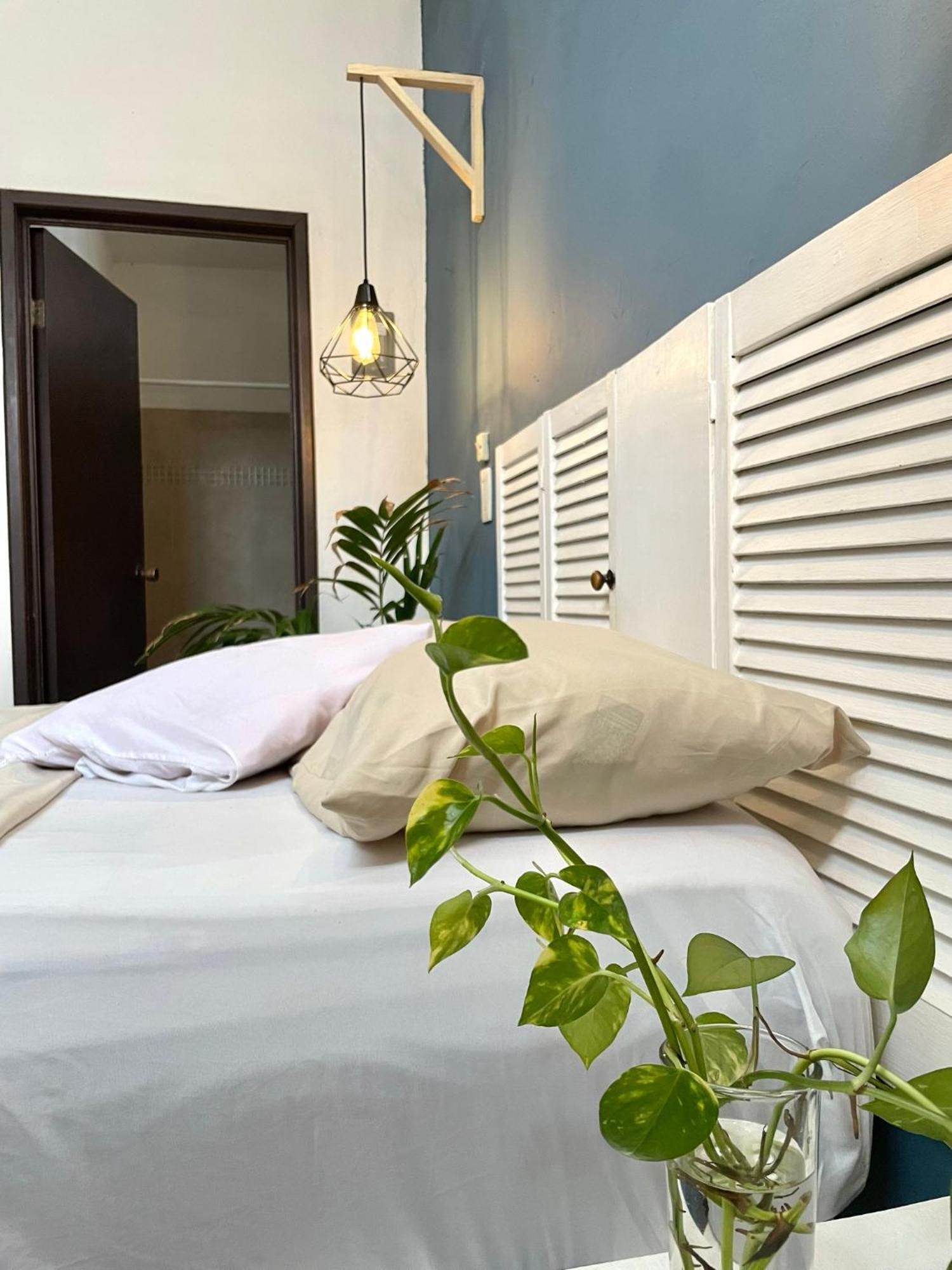 Anana Coliving Hotel Playa del Carmen Exterior foto